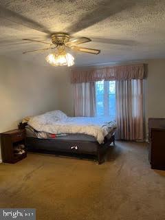 unfurnished bedroom featuring ceiling fan, carpet, and a textured ceiling