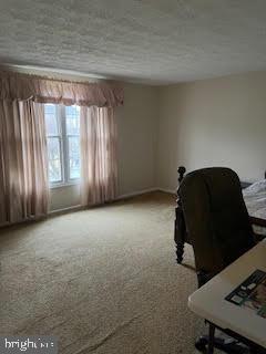 unfurnished office featuring carpet floors and a textured ceiling