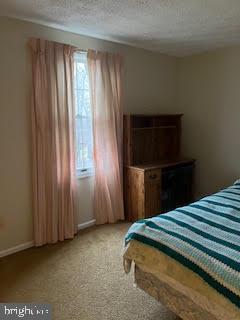 bedroom featuring carpet floors and a textured ceiling