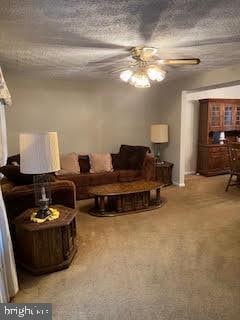 living room with carpet flooring