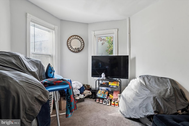 interior space featuring carpet flooring and multiple windows