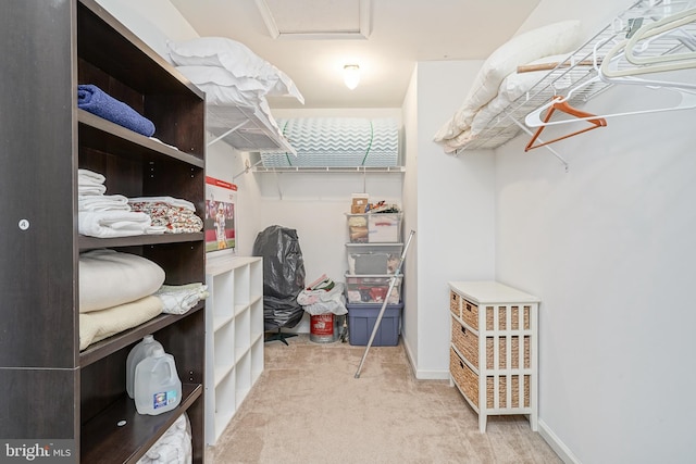 spacious closet with light carpet