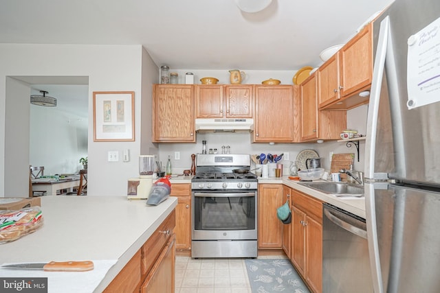 kitchen with appliances with stainless steel finishes and sink