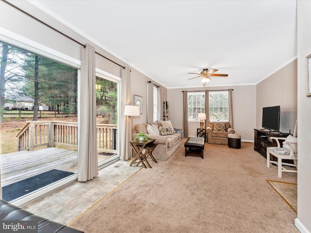 carpeted living room featuring ceiling fan and crown molding