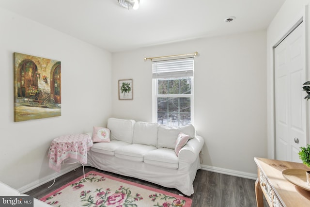 living room featuring dark wood-type flooring