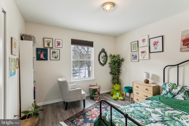 bedroom with hardwood / wood-style floors