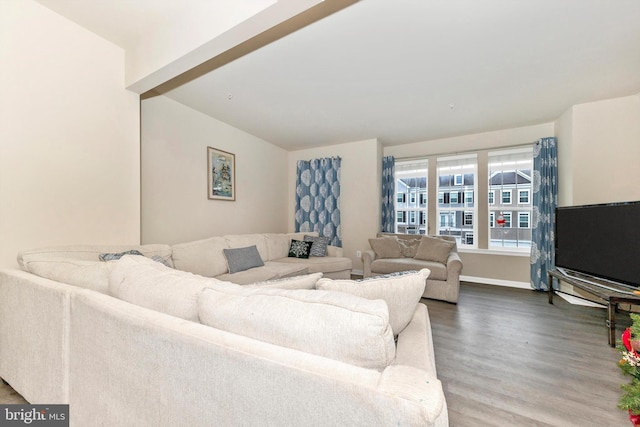 living room featuring hardwood / wood-style floors