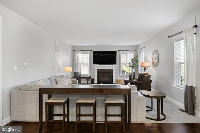 living room with dark wood-type flooring