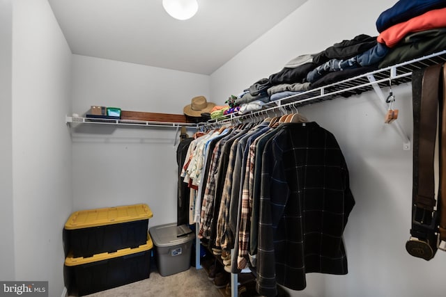 spacious closet with carpet