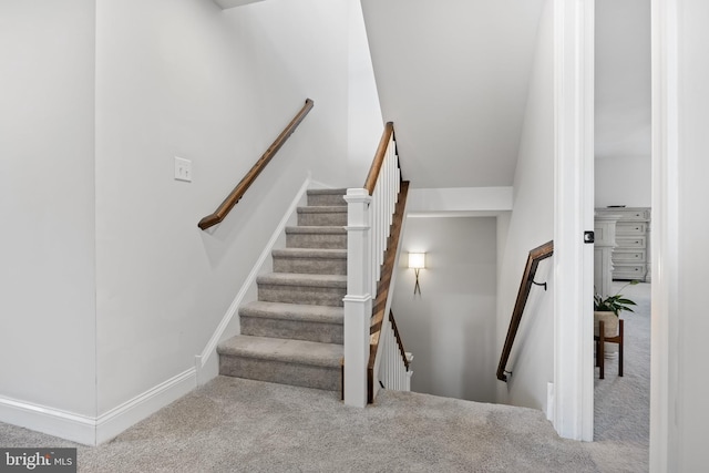 staircase featuring carpet flooring