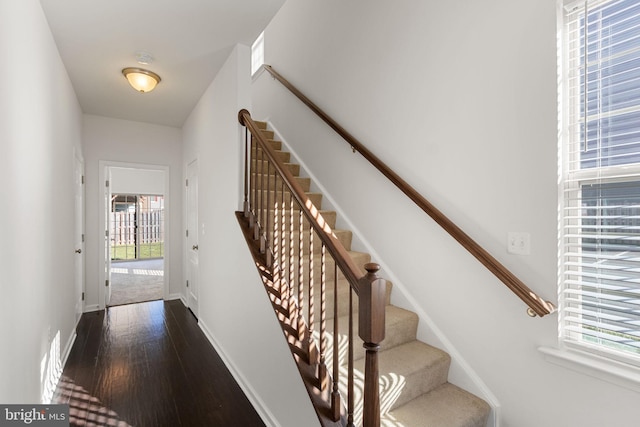 stairs featuring hardwood / wood-style floors