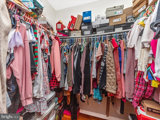 view of walk in closet