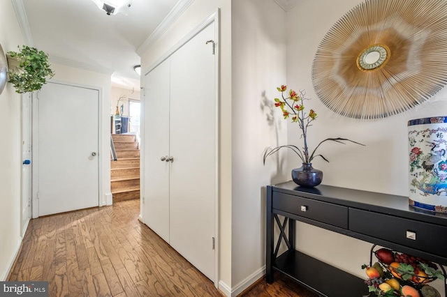 hallway featuring stairs, ornamental molding, and wood finished floors