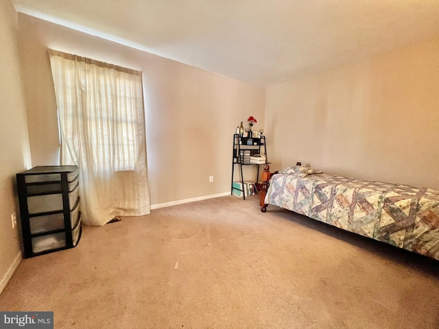 bedroom with carpet floors