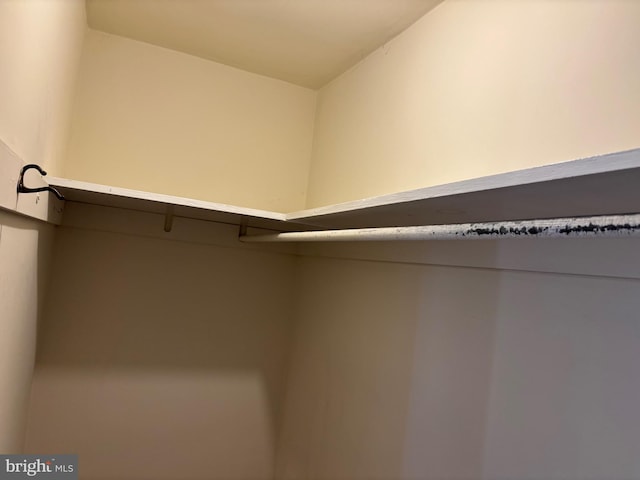 spacious closet with vaulted ceiling