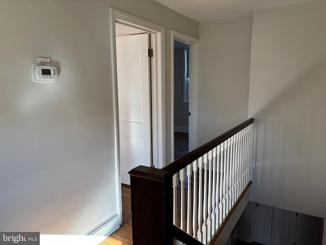 stairs with wood-type flooring