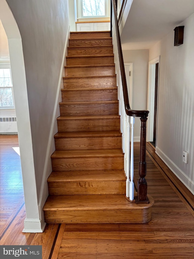 staircase featuring radiator heating unit and wood-type flooring