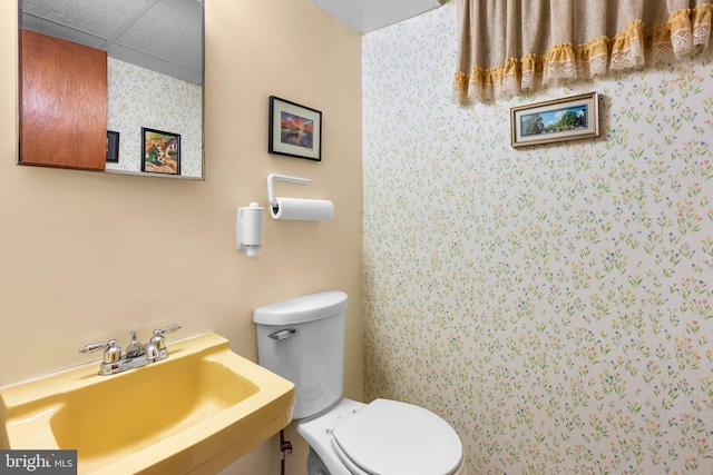 bathroom featuring toilet and sink