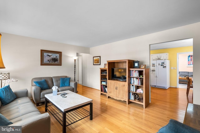 living room featuring light hardwood / wood-style floors