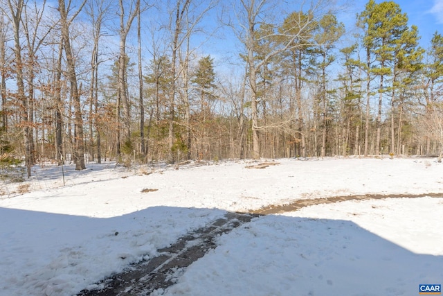 view of yard layered in snow