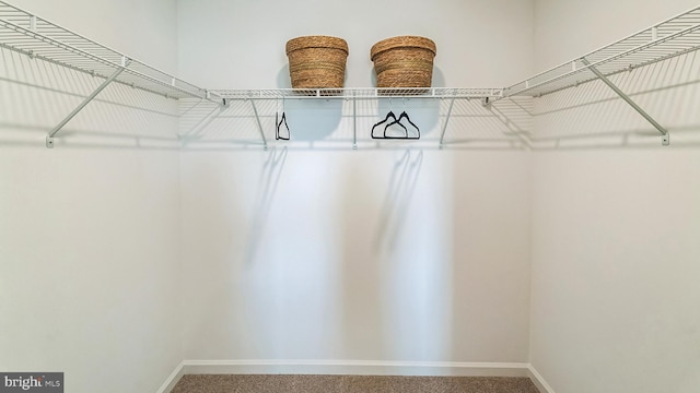 spacious closet with carpet