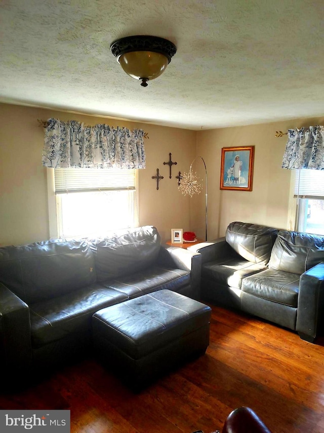 living room featuring a textured ceiling, wood-type flooring, and a healthy amount of sunlight