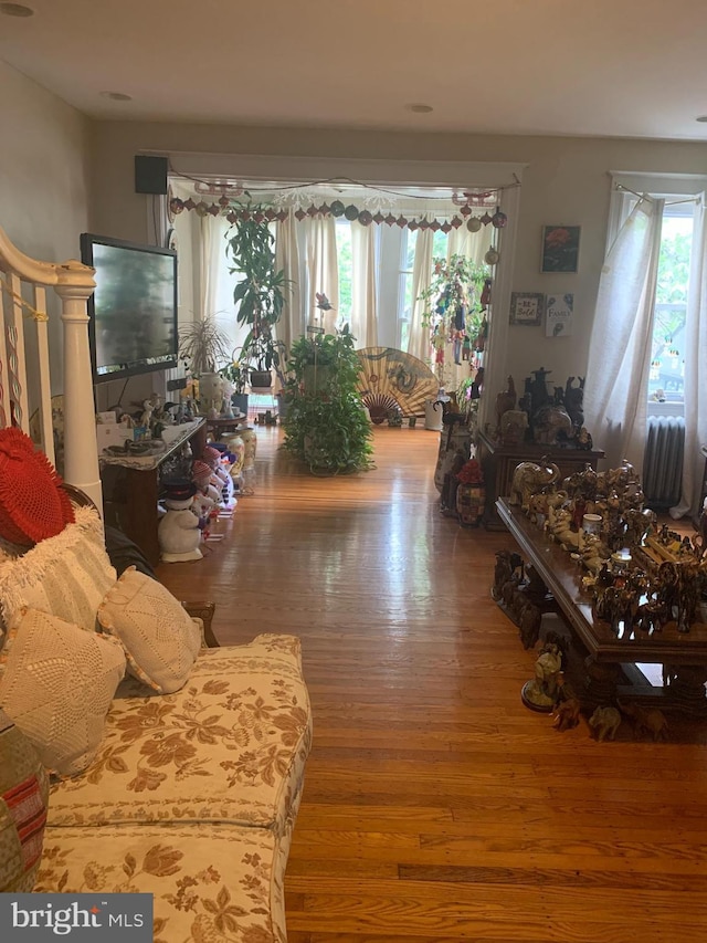 living room featuring hardwood / wood-style flooring