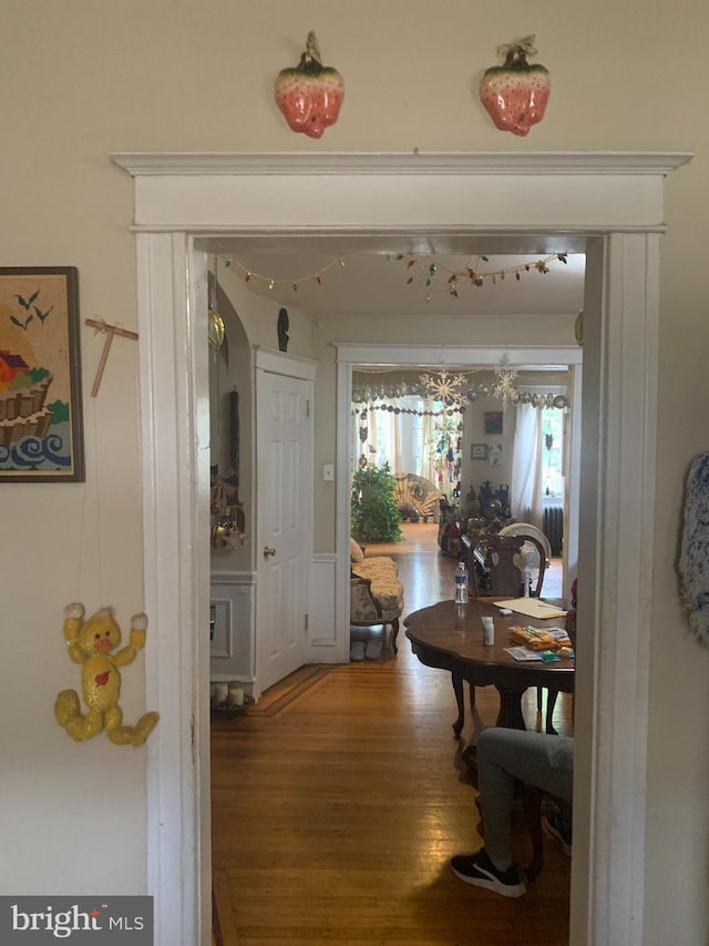 hallway with wood-type flooring