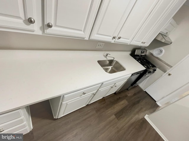 washroom featuring dark wood-type flooring and sink