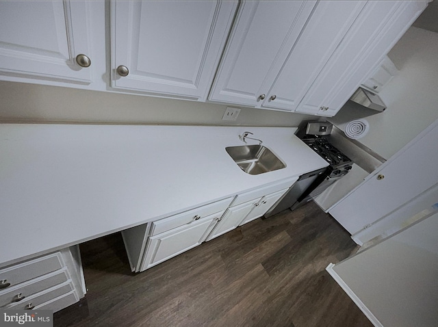 washroom with dark wood-type flooring and sink