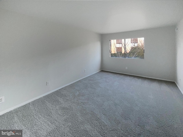 spare room with carpet floors