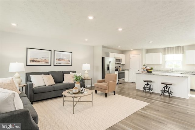 living room featuring sink and light hardwood / wood-style flooring