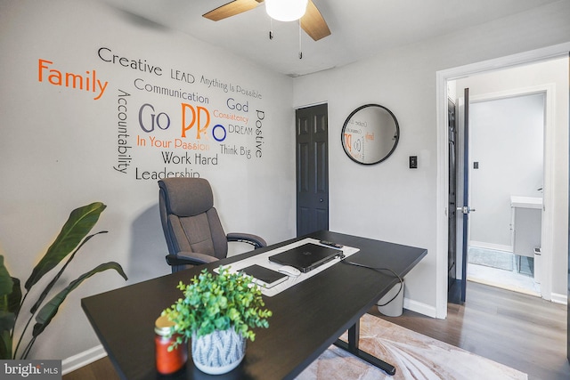 office featuring ceiling fan and hardwood / wood-style floors