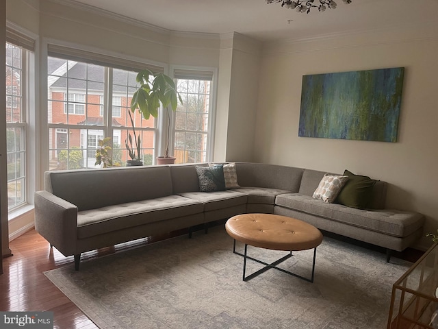 living room with hardwood / wood-style flooring and ornamental molding