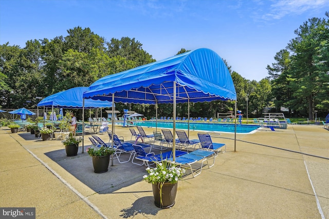 view of pool with a patio area