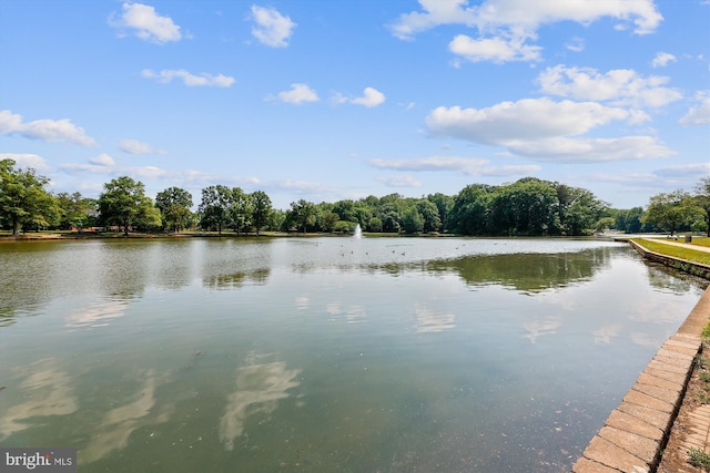 view of water feature