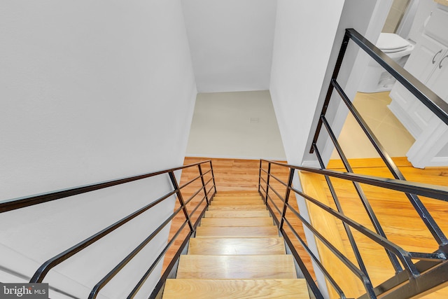 staircase with hardwood / wood-style flooring