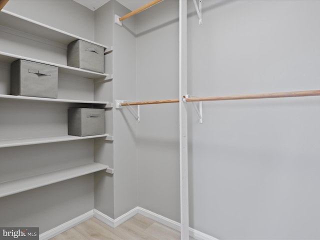 spacious closet featuring light wood-type flooring