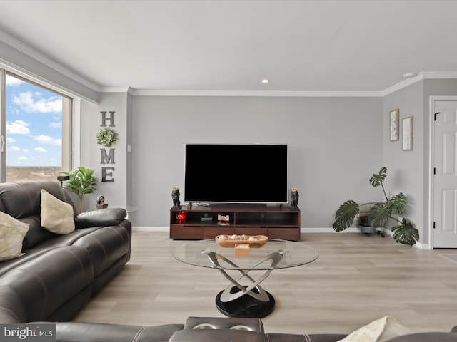 living room with crown molding and light hardwood / wood-style floors