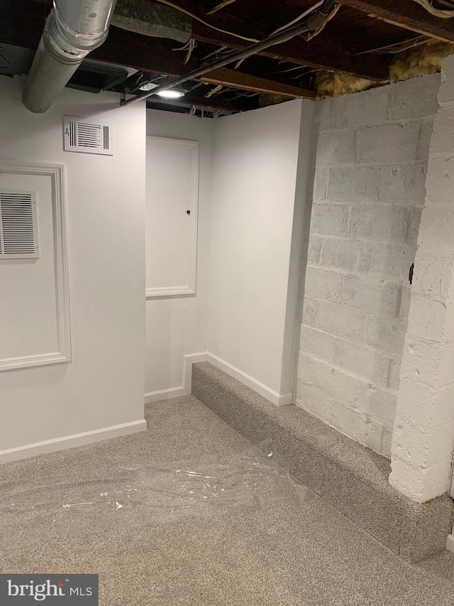 basement featuring carpet