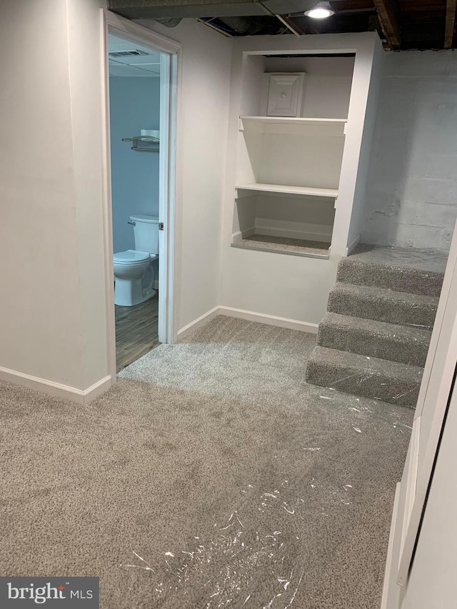 basement with carpet