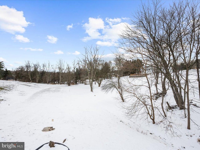 view of yard layered in snow