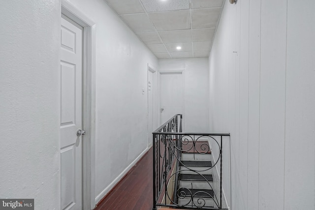 hallway with hardwood / wood-style flooring and a paneled ceiling