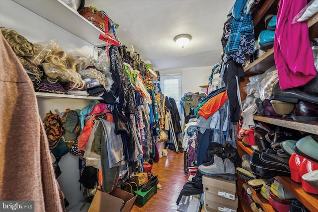 spacious closet with wood-type flooring