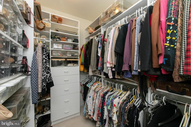 view of walk in closet