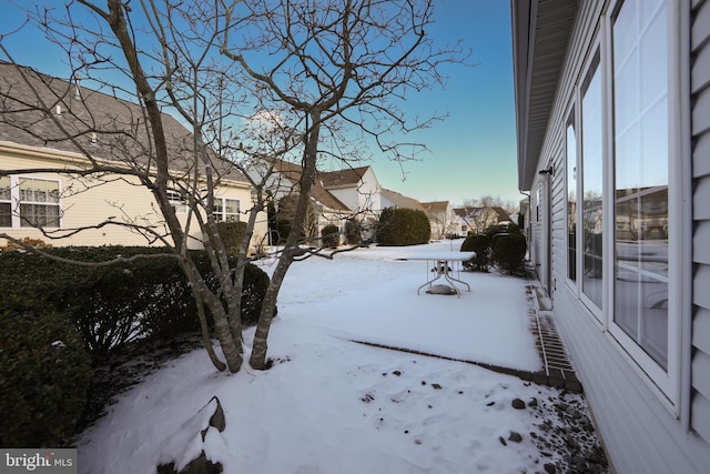 view of yard covered in snow