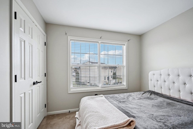 bedroom with a closet and carpet floors