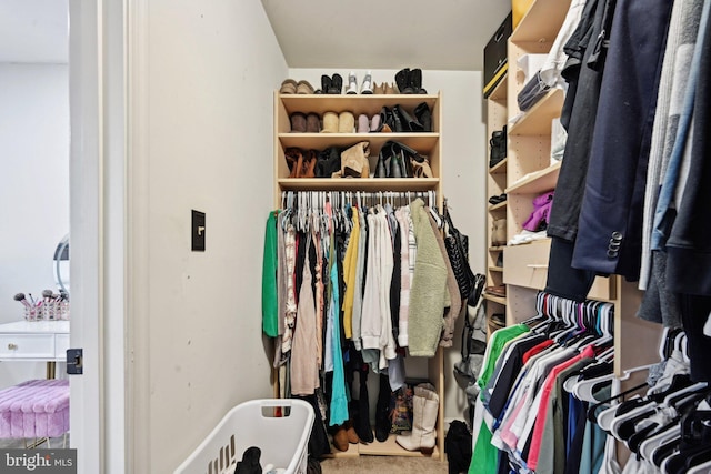 view of spacious closet