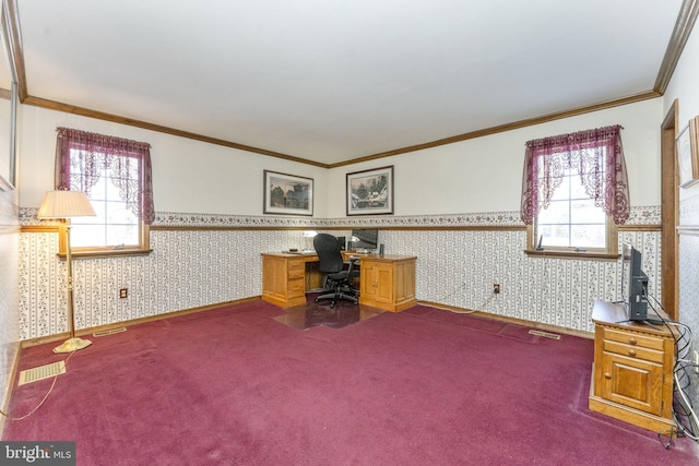 home office featuring carpet floors, a wealth of natural light, and crown molding