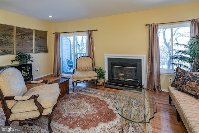 living room featuring hardwood / wood-style flooring